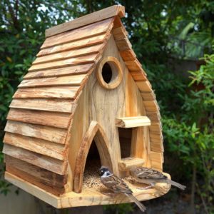 How to Build an Incredible Bird House and Bird Feeder: The Ultimate Guide