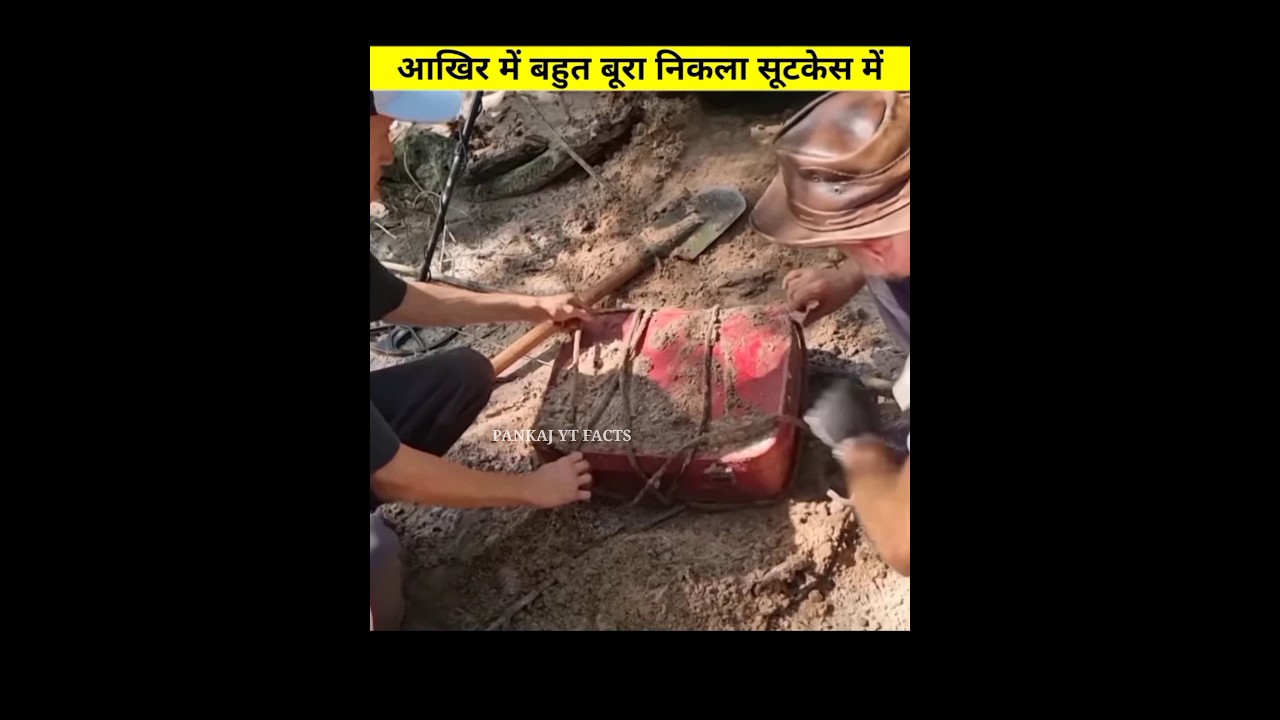 बहुत बूरा निकला सूटकेस में 😱 || wait for the end ~ woodworking art skills || #shorts